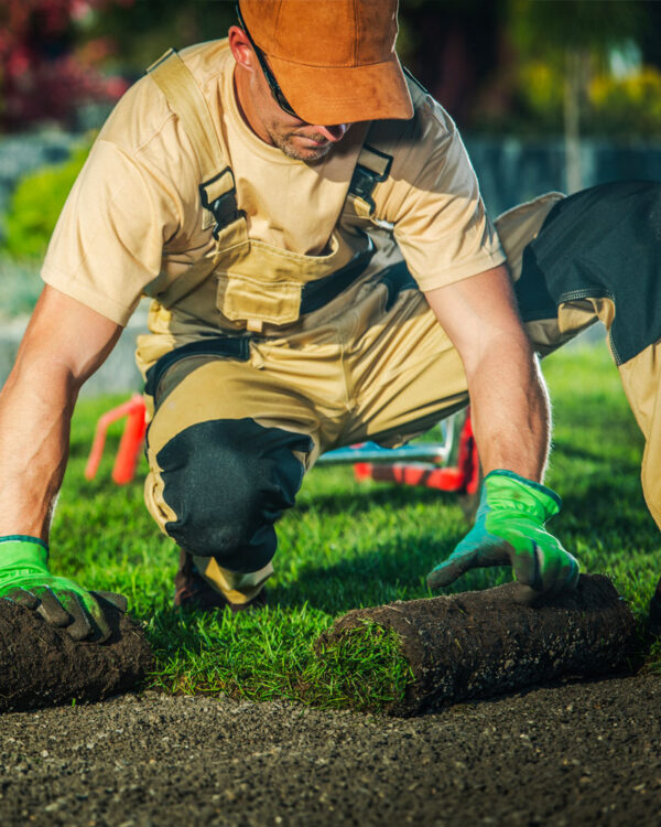 Hip, Knee, Foot and Ankle Pain Squires Chiropractic