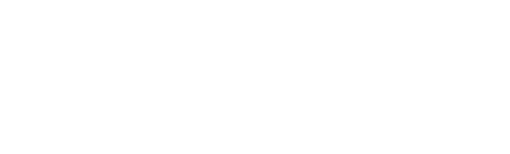 Squires Chiropractic Logo